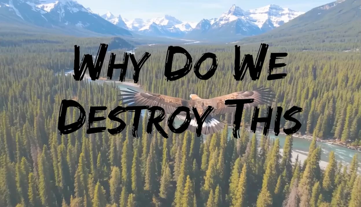 WHY?