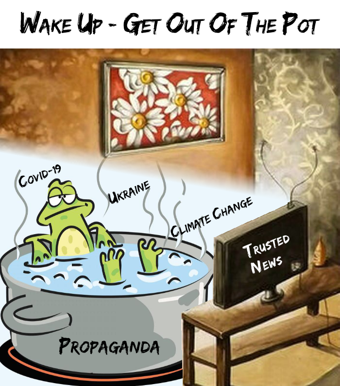 Frog Pot